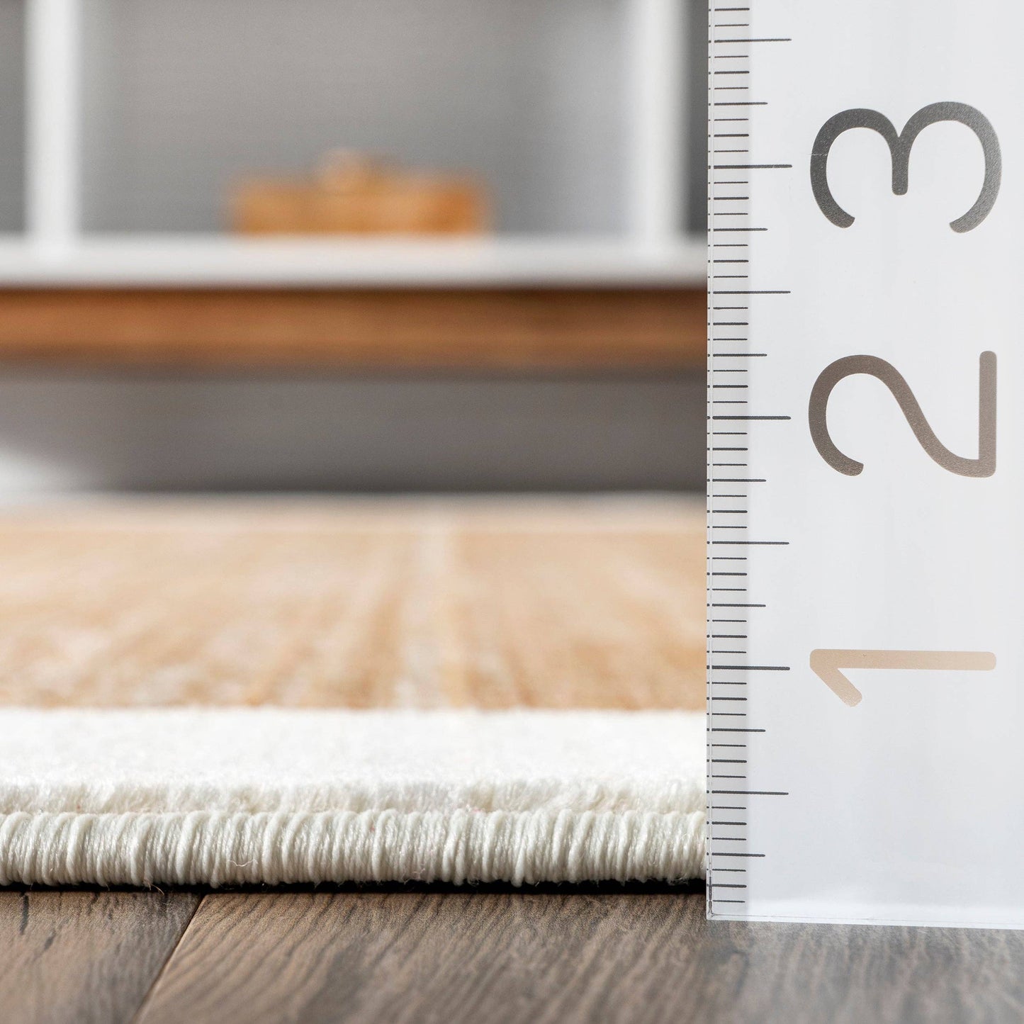 Keeva Modern Striped Fringe Area Rug
